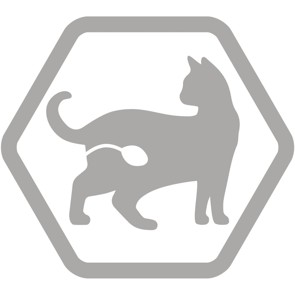 PURINA® PRO PLAN® Sterilised Adult 1+ year Rich in Chicken Dry Cat Food - 1.5 KG - الصورة 4