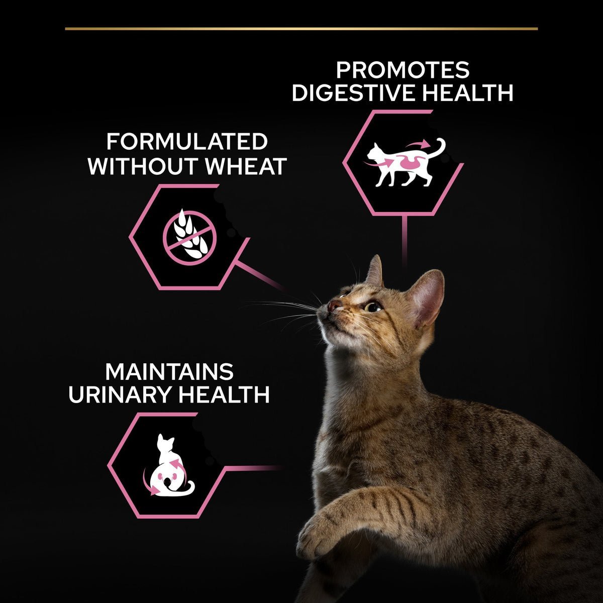 PURINA® PRO PLAN® Sterilised Adult 1+ year Rich in Chicken Dry Cat Food - 1.5 KG - الصورة 9