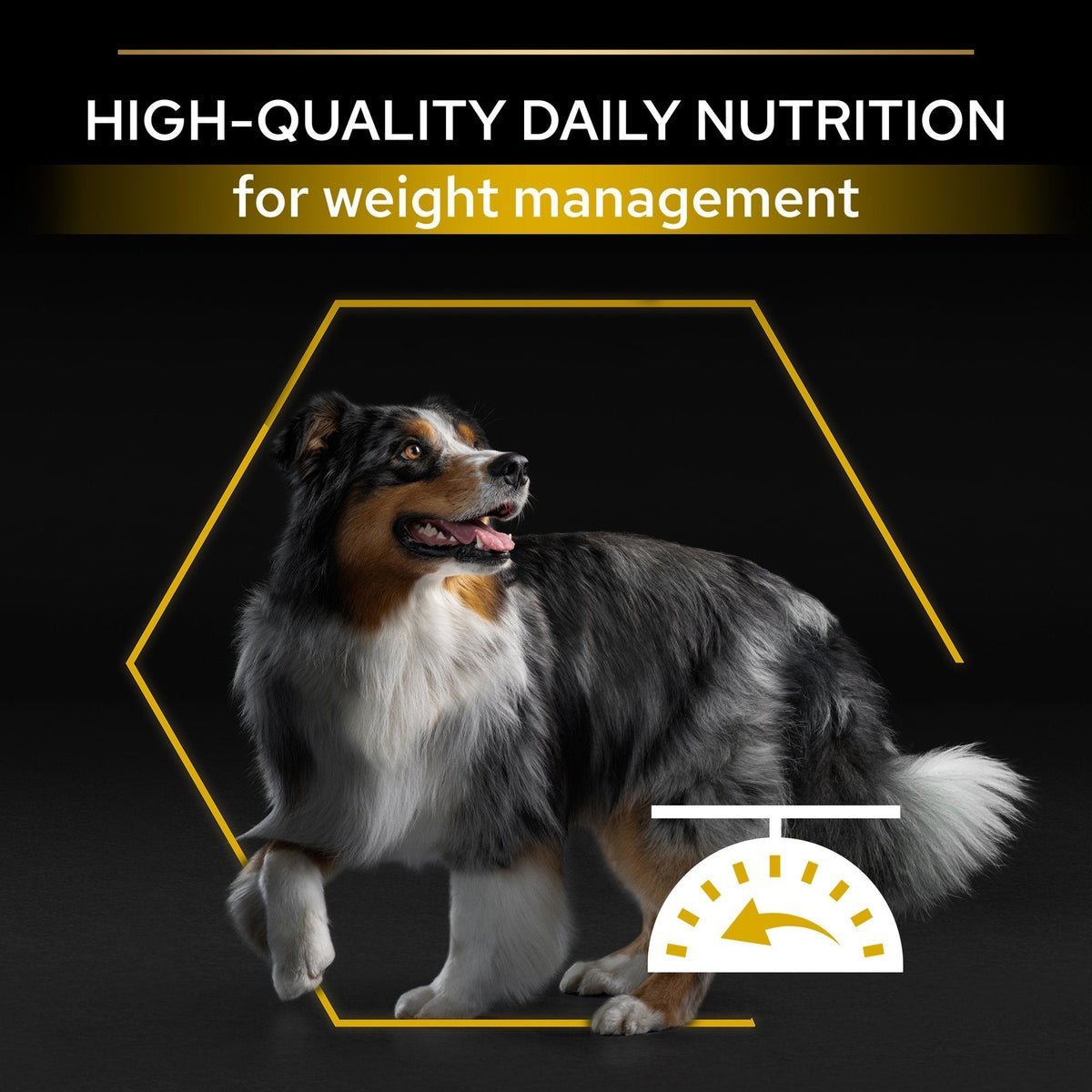 PURINA® Pro Plan® All Sizes Adult Light / Sterilised with OPTIWEIGHT®, Rich in Chicken Dry Dog Food - 3 KG - الصورة 4