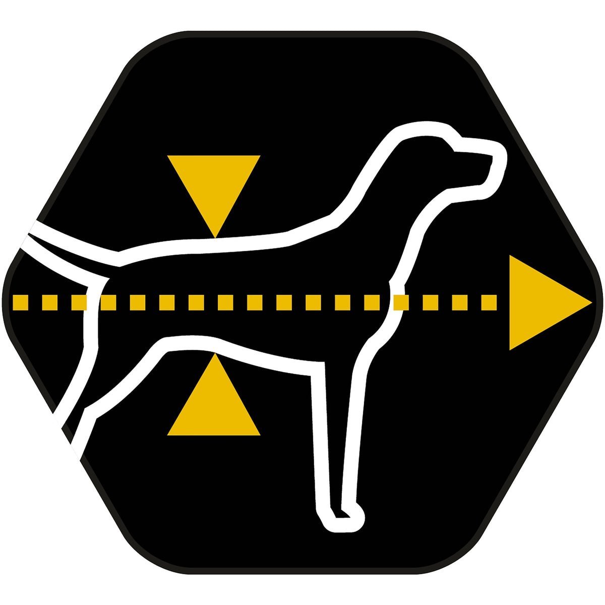 PURINA® Pro Plan® All Sizes Adult Light / Sterilised with OPTIWEIGHT®, Rich in Chicken Dry Dog Food - 3 KG - الصورة 9