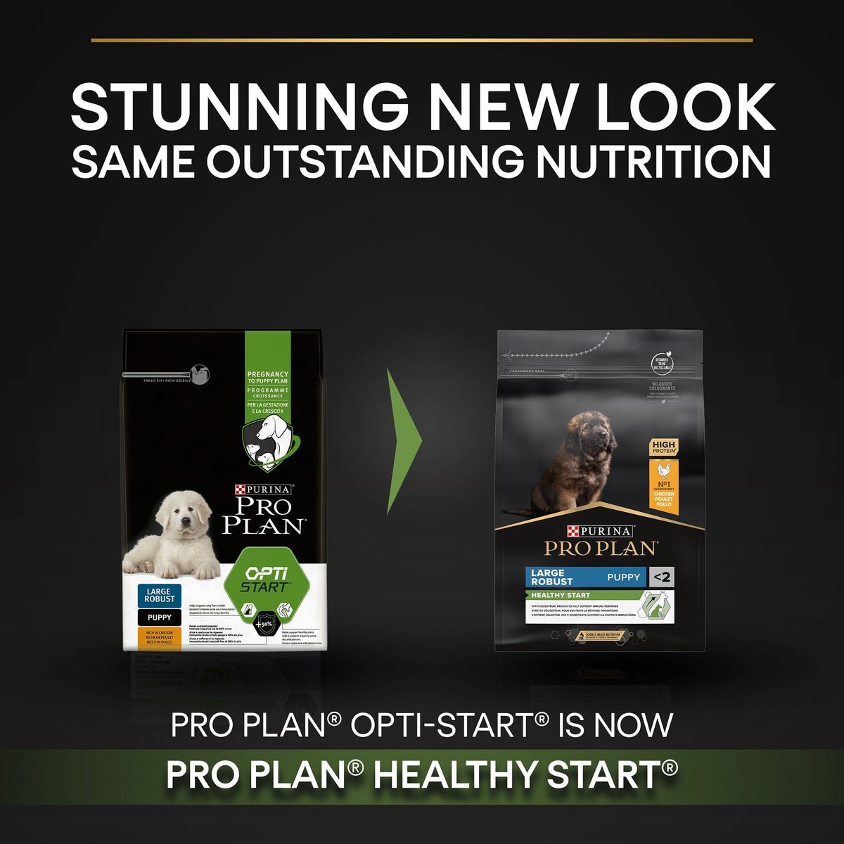 PURINA® PRO PLAN® Large Robust Puppy with OPTISTART® Rich in Chicken Dry Food - 3 KG - الصورة 2