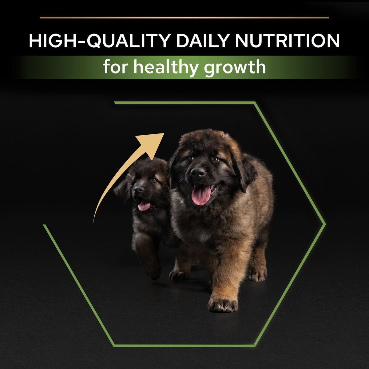 PURINA® PRO PLAN® Large Robust Puppy with OPTISTART® Rich in Chicken Dry Food - 3 KG - الصورة 3