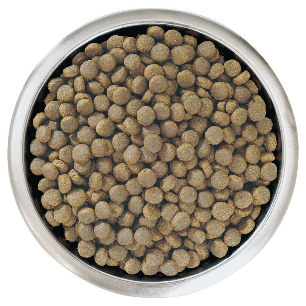 PURINA® PRO PLAN® Large Robust Puppy with OPTISTART® Rich in Chicken Dry Food - 3 KG - الصورة 4