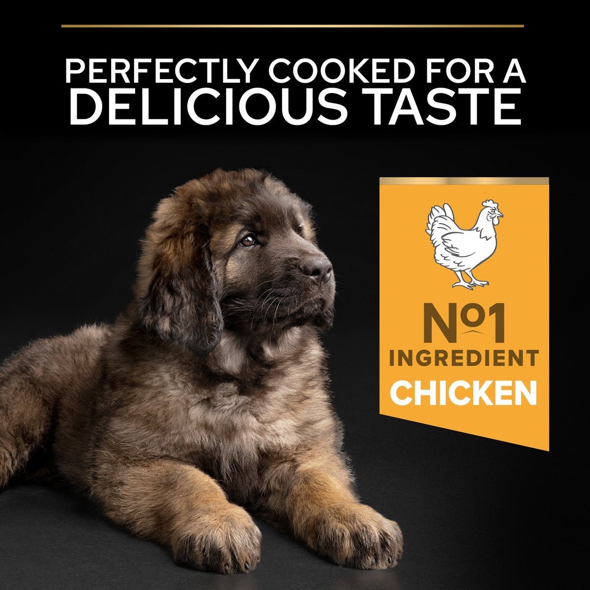 PURINA® PRO PLAN® Large Robust Puppy with OPTISTART® Rich in Chicken Dry Food - 3 KG - الصورة 6