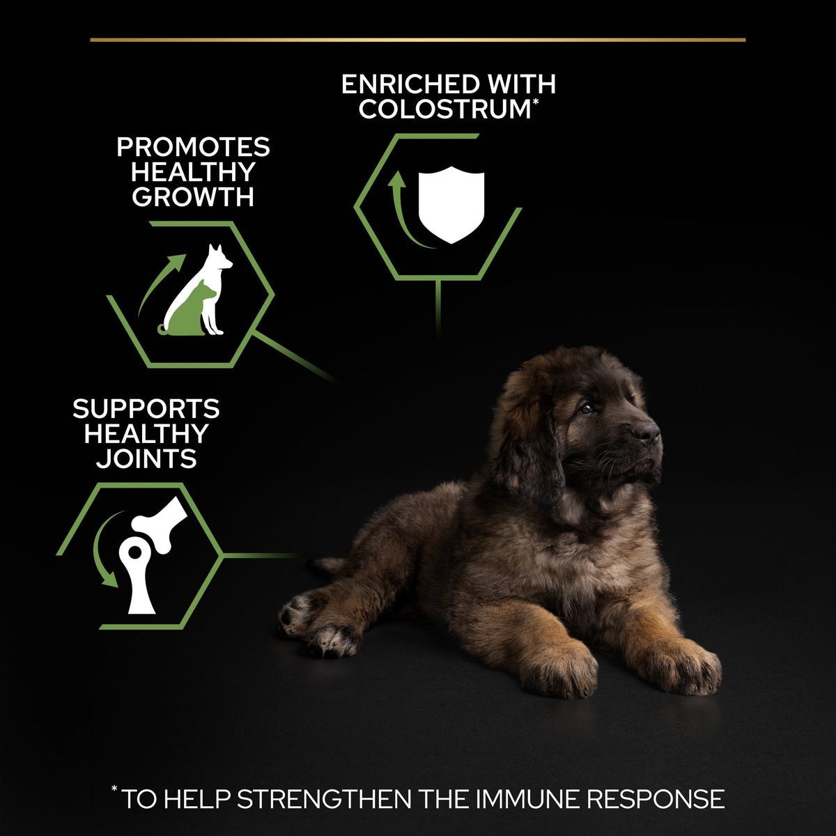 PURINA® PRO PLAN® Large Robust Puppy with OPTISTART® Rich in Chicken Dry Food - 3 KG - الصورة 7