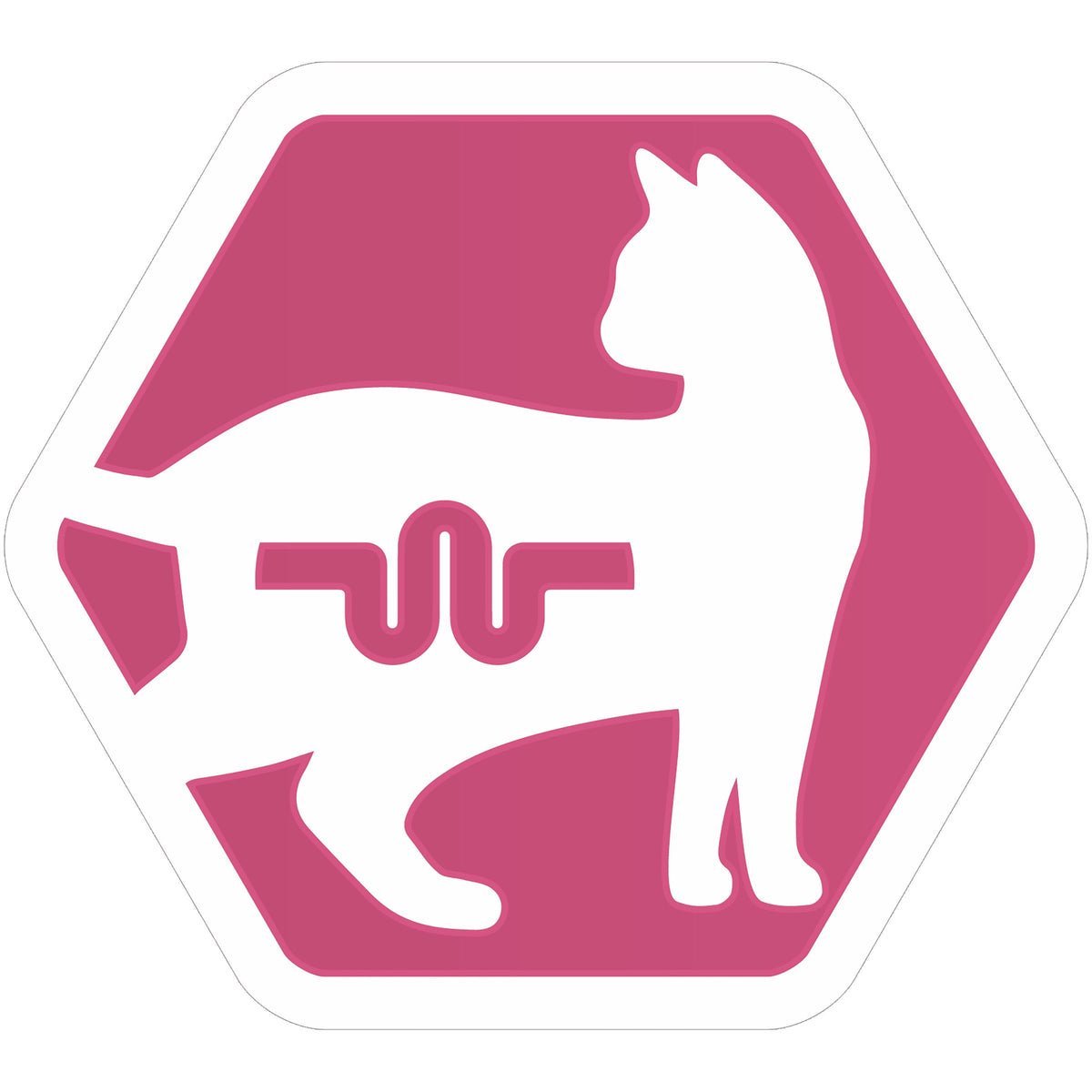 PURINA PRO PLAN Delicate Adult -OPTIDIGEST- Rich in Turkey Dry Cat Food - 10 KG - الصورة 3