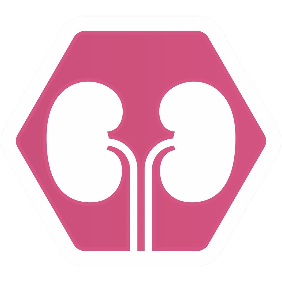 PURINA PRO PLAN Delicate Adult -OPTIDIGEST- Rich in Turkey Dry Cat Food - 10 KG - الصورة 5