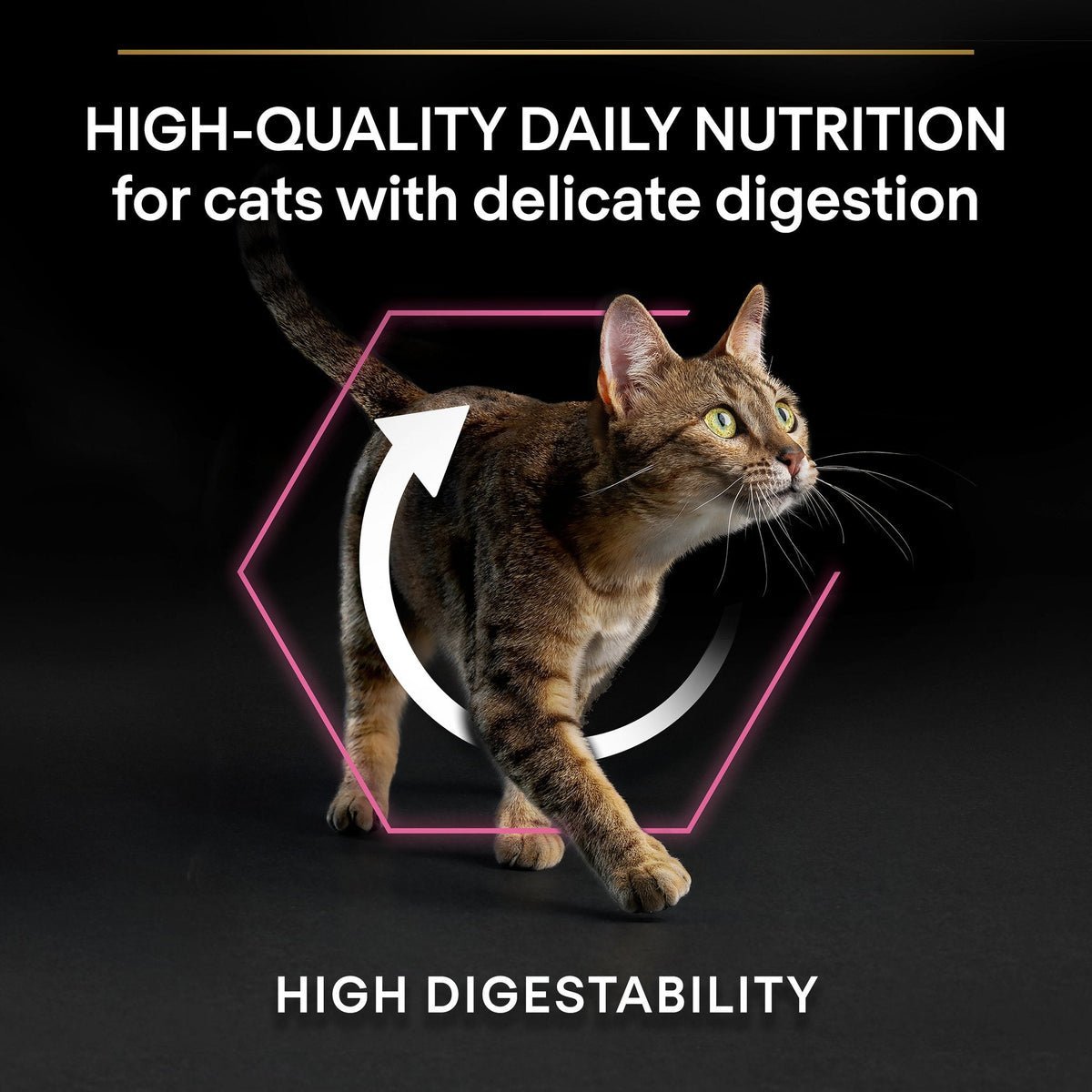 PURINA PRO PLAN Delicate Adult -OPTIDIGEST- Rich in Turkey Dry Cat Food - 10 KG - الصورة 8