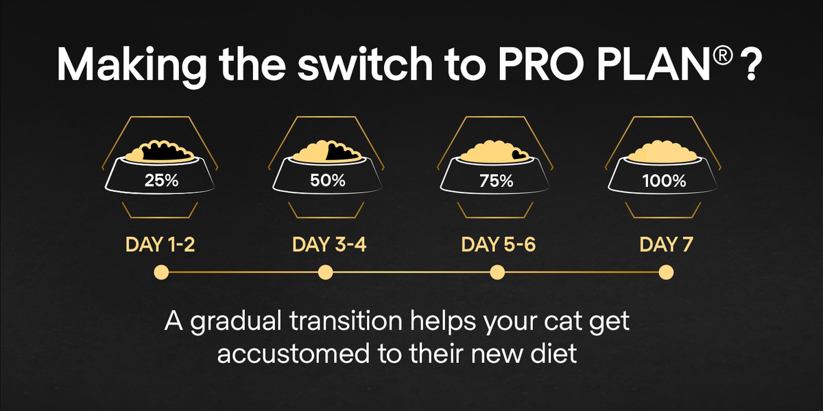 PURINA PRO PLAN Delicate Adult -OPTIDIGEST- Rich in Turkey Dry Cat Food - 10 KG - الصورة 14