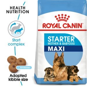 Royal Canin Maxi Starter Mother and Babydog (4 KG) - Dry food for large puppies - Adult weight between 26 and 44 KG. Mother during gestation and lactation - Weaning puppies up to 2 months